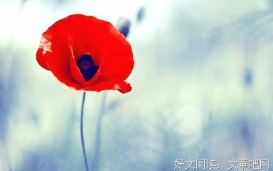 人生怎样能过的更幸福，我有一点建议