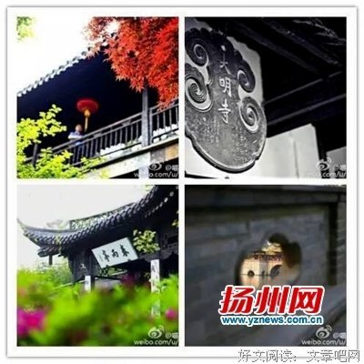 有关小小咪的句子