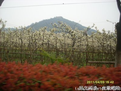 《几度春风》的句子