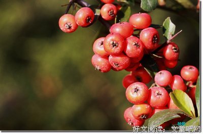 关于丰实的语句