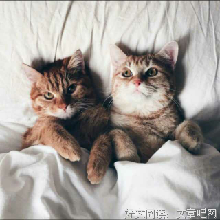 你一说，我就不想做了