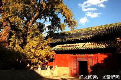 夜蔓名言