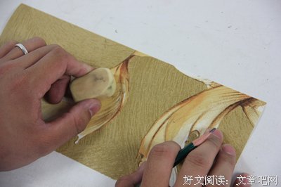 《锦鲤抄》经典的句子