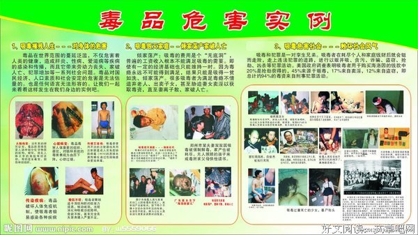 《吸毒者》好看吗？经典观后感10篇
