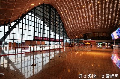 《千年鹤》经典观后感10篇