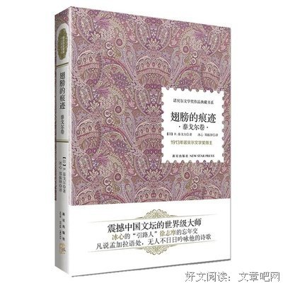 《我的文学奖》读后感精选10篇