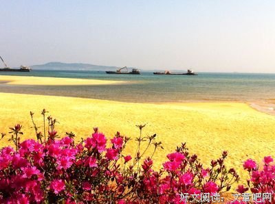 花香入心，岁月入禅