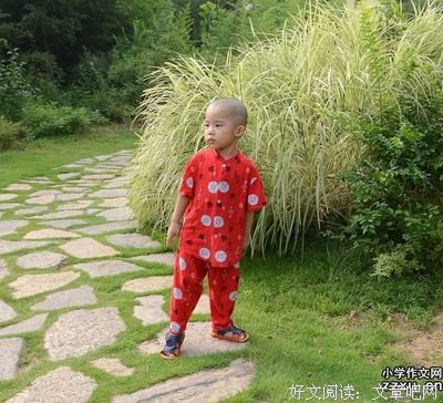 关于烟的优美句子