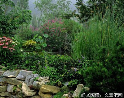 生命与希望经典名句