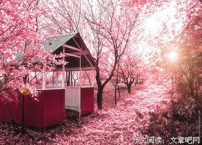 我的离开，只是想要你挽留