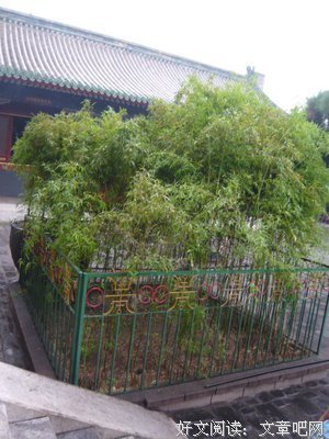 《女爵印象》经典观后感10篇