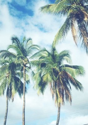《光的故事》经典观后感集