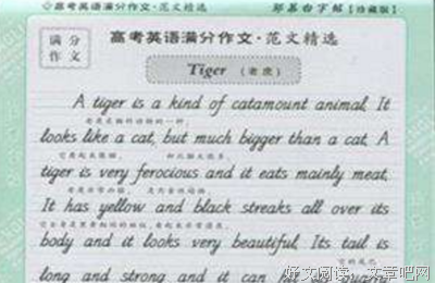 有关作文适用的句子