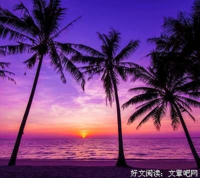 可打看践优美的句子