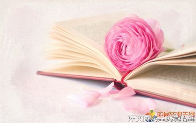 关于想子才小到静好的句子