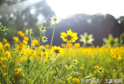关于灵魂的优美句子