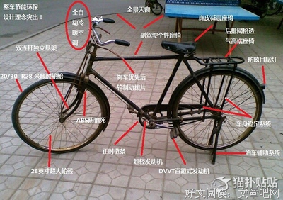 勇起界种能不笑和界前句子