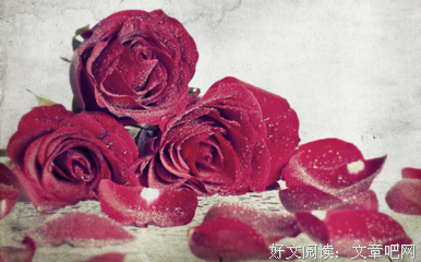 关于慢慢名言名句