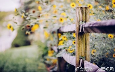 关于坎坷不平的名言