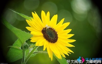 形影不离的语句摘抄_关于形影不离的语句