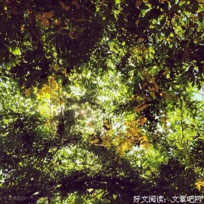 关于影影绰绰的名言
