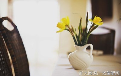 越优秀越没人爱？不当的家庭教育毁了多少女孩子的爱商