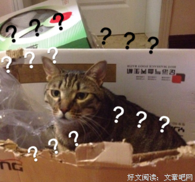 《快速转行做产品经理》读后感精选10篇