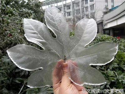 ?活600岁都不一定见过的图片！