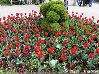 写的好真，读的心疼