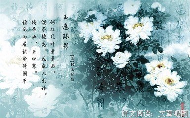容若纳兰的优美句子