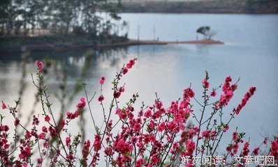 暖优美的句子