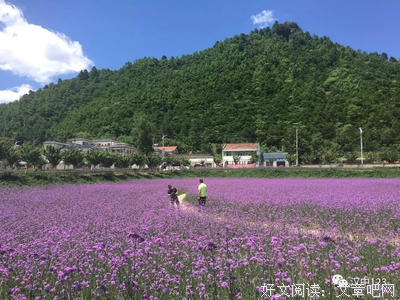 实录：一个多次出轨的男人内心独白