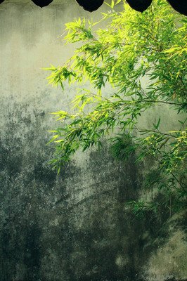一句小语