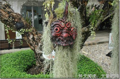 描写半吊子的语句摘抄