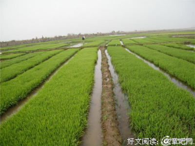 有气无力的句子