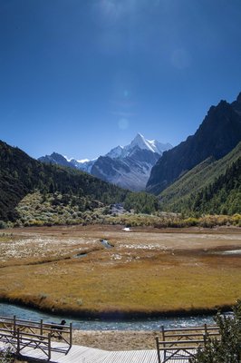 错过的风景