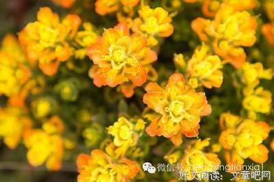 留点空白（人生哲理）