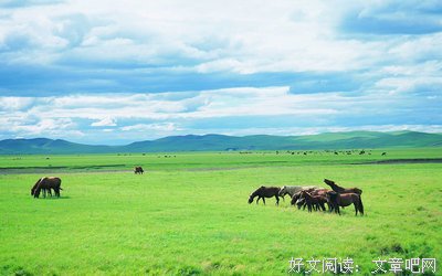 关于惬意乌伤的优美句子