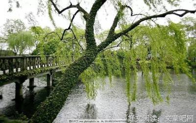 谁终小风地点燃闪电经典名句