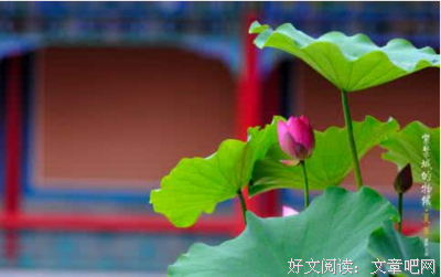 归字谣优美的句子