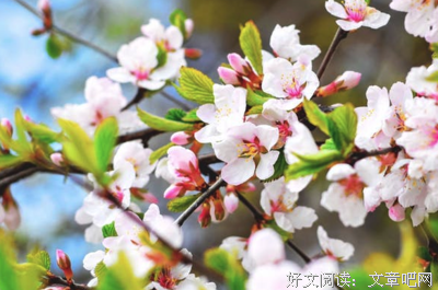关于※古风※的优美句子