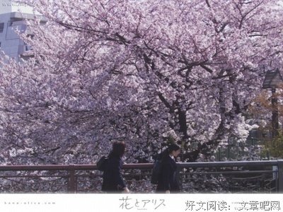 关于岩井的唯美语录
