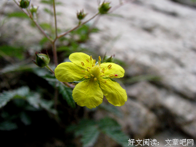关于自然环境名言名句