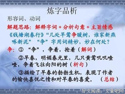 关于杨过的语句