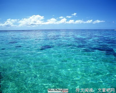毛薇：梦见大海