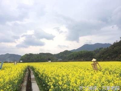 描写陈师的语句摘抄