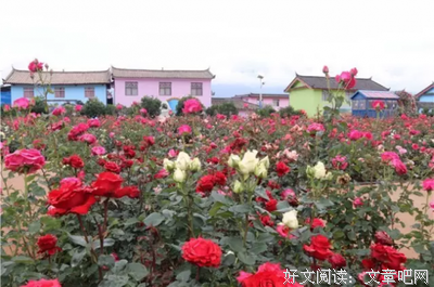 听说了吗，这5个地方可以邂逅爱情！！