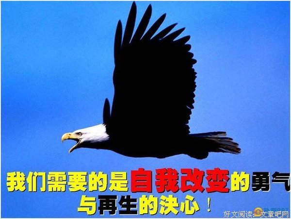 《不厌旧恶》观后感10篇