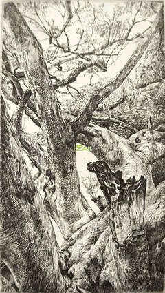 《故乡有灵》经典读后感10篇