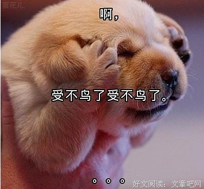 献给妻子的犯罪经典读后感10篇